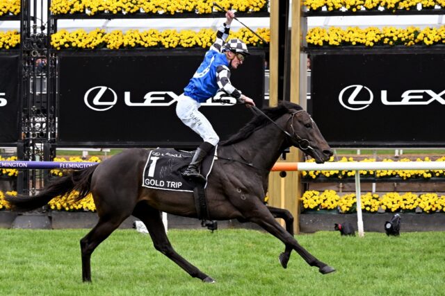 Gold Trip, ridden by Mark Zahra, crosses the line to win the Melbourne Cup