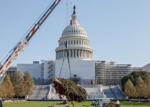 U.S. Capitol Christmas tree arrives in Washington