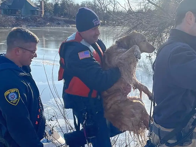 OKC Firefighters we’re able to rescue this sweet dog from an icy pond today. #hereifyoun