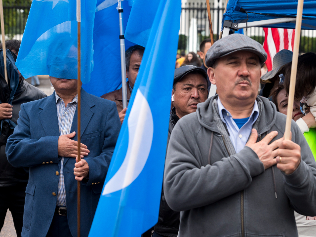 Members of the East Turkistan Awakening Movement sing the East Turkistan national anthems while holding a rally outside the White House against the Chinese Communist Party (CCP) to coincide with the 73rd National Day of the People's Republic of China in Washington, Saturday, Oct. 1, 2022. They protest against alleged oppression by the Chinese government against Uyghurs and other mostly Muslim ethnic groups in far-western Xinjiang province. China's government has been accused of human rights abuses against Uyghurs and other predominantly Muslim minorities in the region. (AP Photo/Cliff Owen)