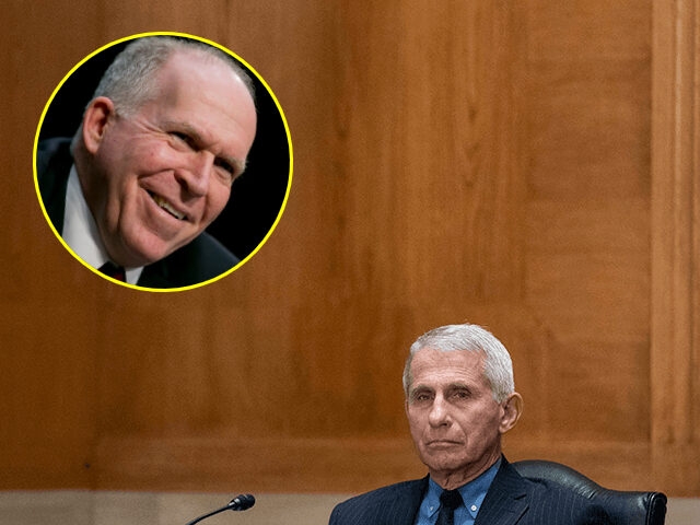 Anthony Fauci (Sarah Silbiger/Pool via AP Fauci) // Inset: John Brennan (Andrew Harrer/Blo