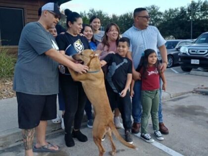 Cookie the dog reunited with family