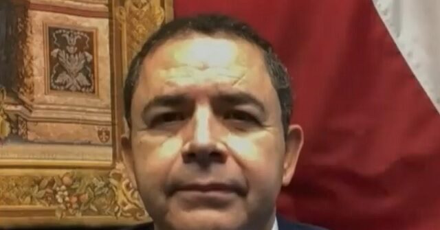 Cuellar on DOJ Sanctuary Suit: 'It's Common Sense', We Don't Have Sanctuaries on Border Because We Back Law and Order