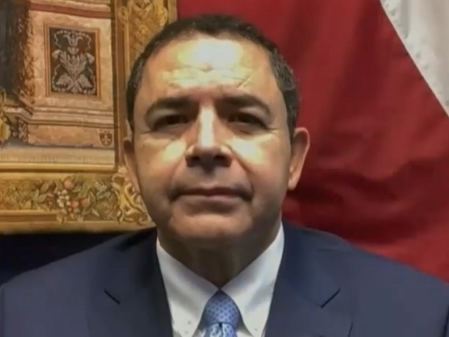 Cuellar: Once Dems Get Majority, They Can't 'Continue Looking at Fringe Issues' and Making Them Platform