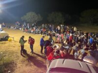 485K Migrants Apprehended this Year in Texas-Based Border Sectors