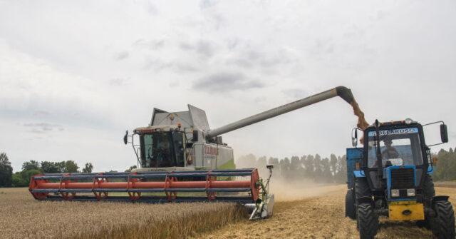 2022: The Year Food and Energy Security Fears Hit Europe - Vimarsana News