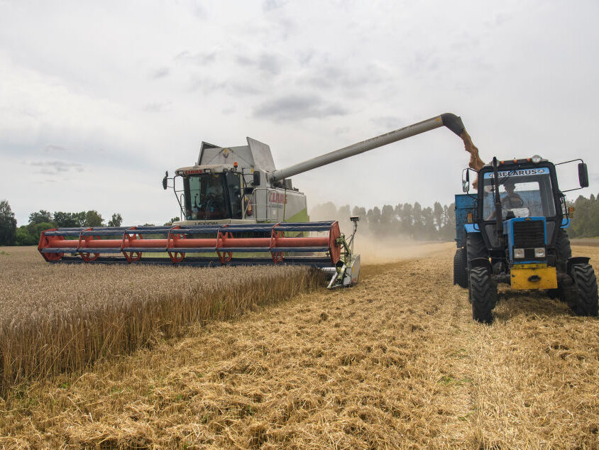2022: The Year Food and Energy Security Fears Hit Europe - Vimarsana News