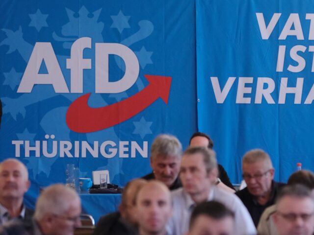 05 November 2022, Thuringia, Pfiffelbach: Delegates of the AfD-Thuringia and media represe