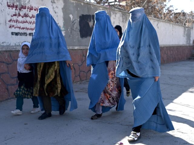 TOPSHOT - Afghan women walk a long a road in Ghazni Province on November 27, 2022. (Photo