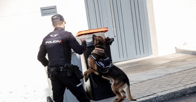 Ukrainian Embassies in Europe Mailed Bloody Packages With Animal Eyes - Vimarsana News