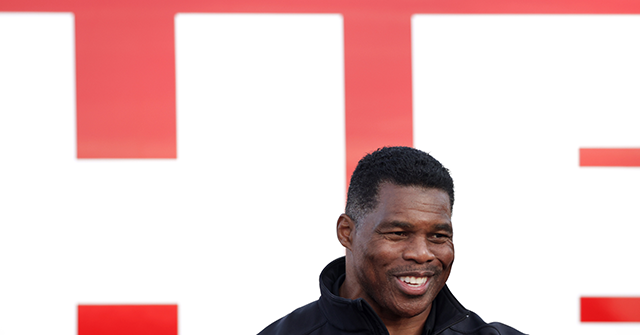 Kelly Loeffler: A Herschel Walker Victory ‘Prevents Radical Left from Taking over Our Entire Legal System’