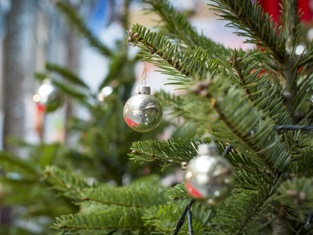 Ornaments hanging on christmas tree