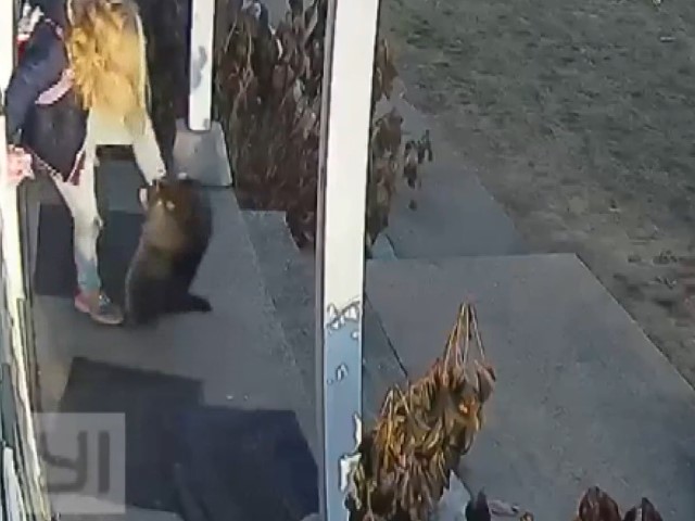 WATCH: Mom Grabs, Throws Raccoon Attacking Screaming Child - Vimarsana News