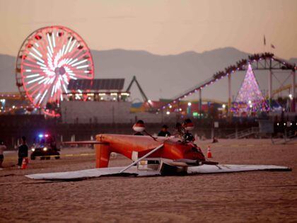 Santa Monica plane crash (Gary Coronado / Getty)