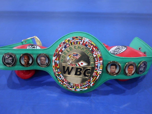 World Boxing Council Launches Transgender Category to Promote 'Safety' for Fighters - Vimarsana News