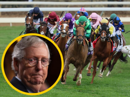 Mitch McConnell / horse racing