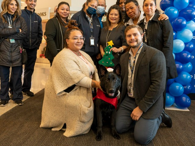 PHOTOS: Dog Abandoned at Airport Finds Home with Pilot - Vimarsana News