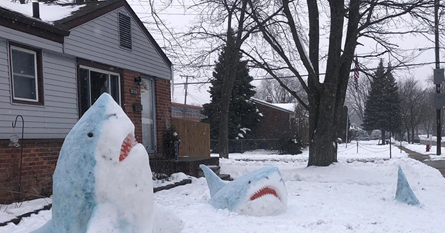 PHOTOS: Michigan Art Teacher Goes Viral Making Shark Snow Sculptures