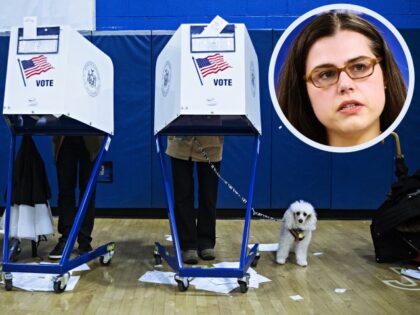 NEW YORK, USA - NOVEMBER 06: A voter stands behind a voting booth with a dog during the midterm election at the High School Art and Design polling station in Manhattan, New York, United States on November 06, 2018. (Photo by Atilgan Ozdil/Anadolu Agency/Getty Images)