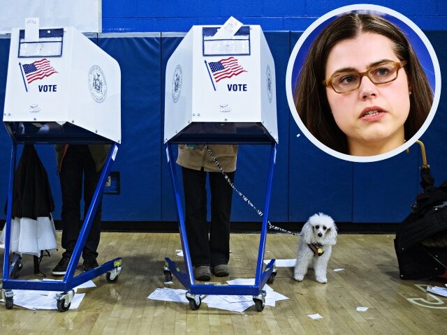 NEW YORK, USA - NOVEMBER 06: A voter stands behind a voting booth with a dog during the midterm election at the High School Art and Design polling station in Manhattan, New York, United States on November 06, 2018. (Photo by Atilgan Ozdil/Anadolu Agency/Getty Images)