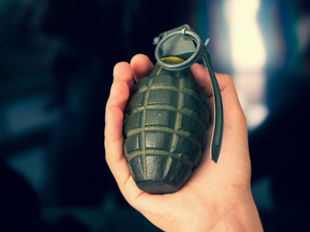 Swedish Law Nets Stops Five Hand Grenades in Five Years at Customs - Vimarsana News