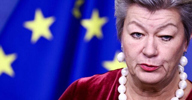 EU Trying to Bring in ‘Mass Surveillance’ with Proposed Digital Law - MEP