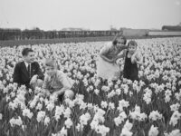 Demographic Decline: More Deaths than Births Recorded in The Netherlands in First Since Records Began