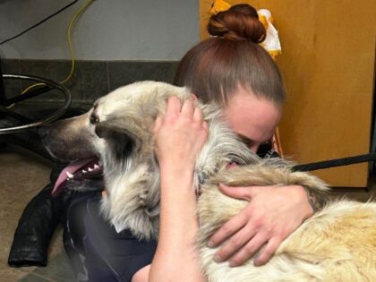 PHOTO: Dog Found with Note on Collar Reunited with Family After ‘Outpouring of Support’