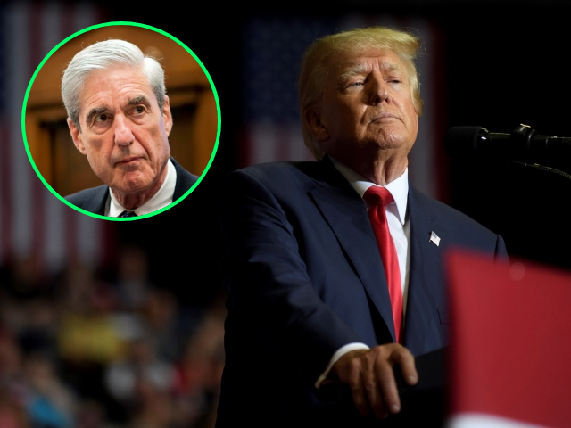 Trump Urges House Republicans to Probe Aspects of Mueller Investigation - Vimarsana News