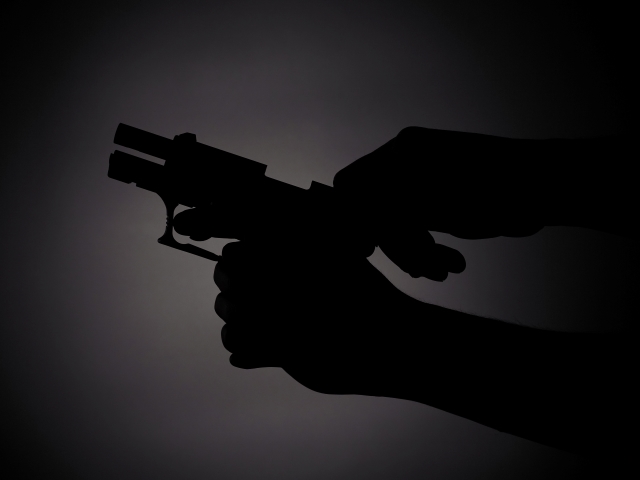 India: Man Dies of Heart Attack After Accidentally Shooting New Year's Eve Party Guest - Vimarsana News