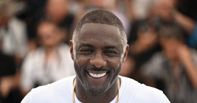 'Sign of the Times:' Idris Elba Believes More Big Time Actors Will Appear in Video Games as Hollywood Struggles