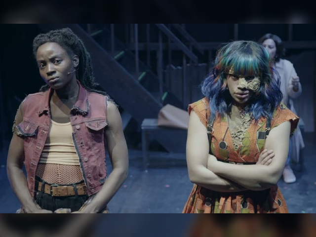 Govt-Run Canadian Theater to Hold Performance for 'Black-Identifying' Audience - Vimarsana News