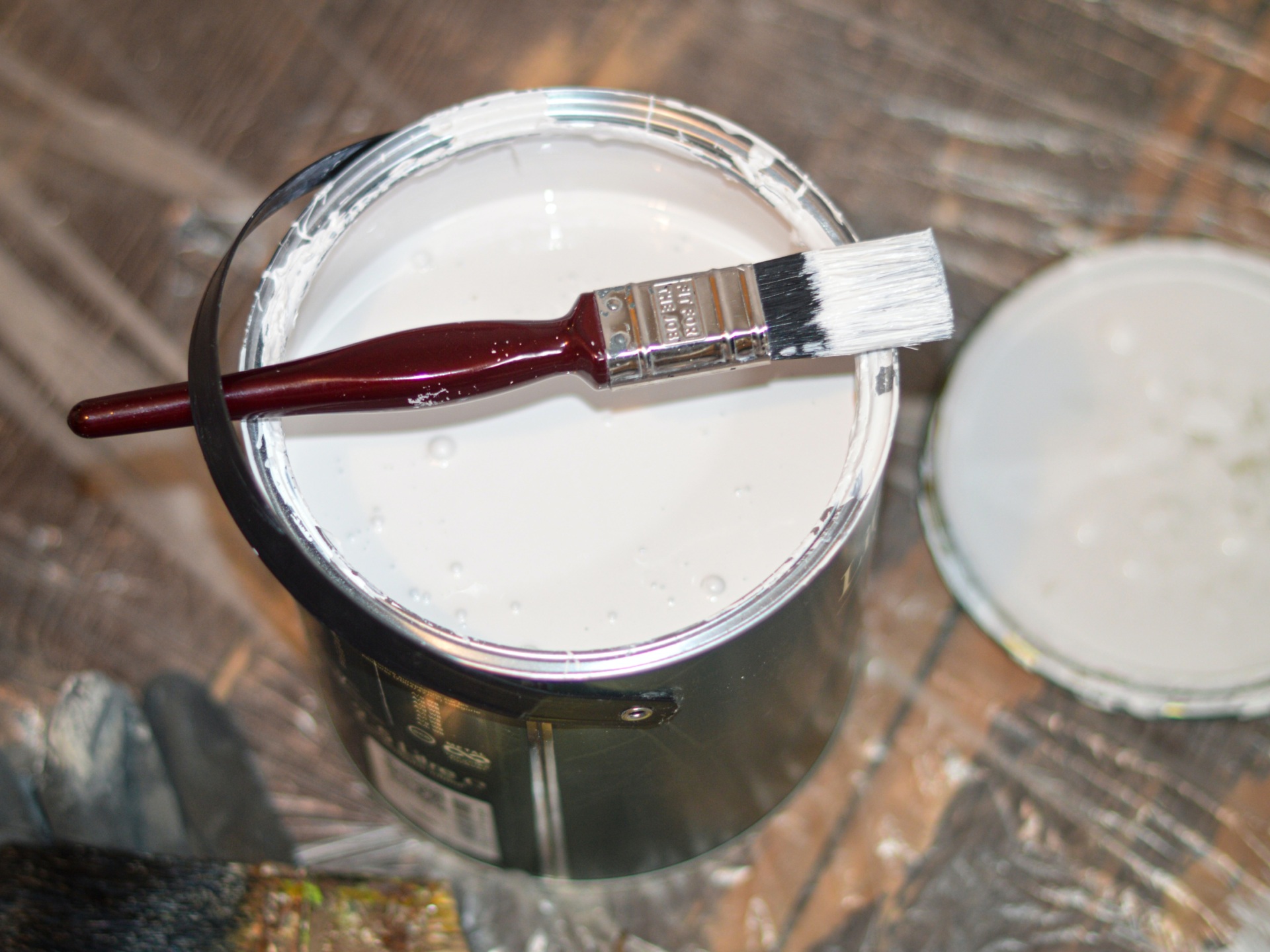 Norwegian University Studies Role of White Paint in Promoting Racism - Vimarsana News
