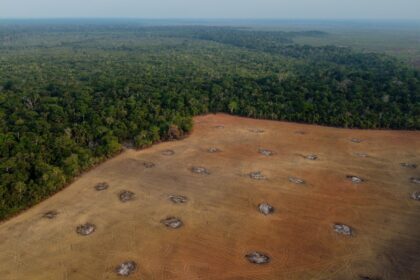 An aerial view of a massive patch of land cleared of trees in Brazil's eastern Amazon