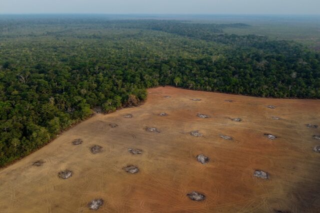 An aerial view of a massive patch of land cleared of trees in Brazil's eastern Amazon