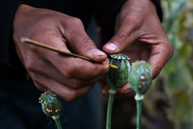 The UNODC estimates Myanmar's opium economy is worth around $2 billion -- the equivalent o