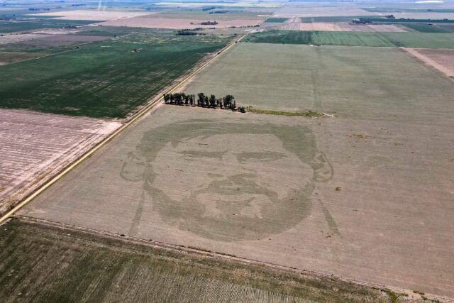 Variations in the number of planted corn seeds create the face of football star Lionel Mes