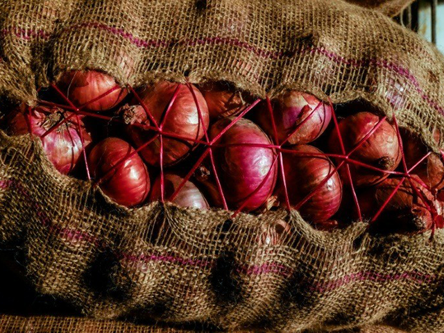 Philippine Lawmaker Warns Secret Onion Cartels Are Driving Up Prices - Vimarsana News