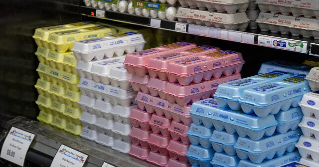 Dollar Tree Pulls Eggs from Shelves as Prices Soar in Biden's Economy
