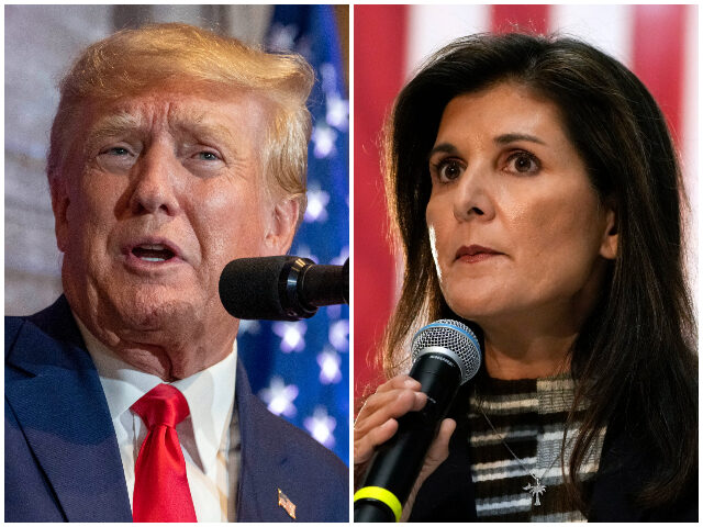 Nikki Haley Sees Bump in Support While Trump Leads by Double Digits