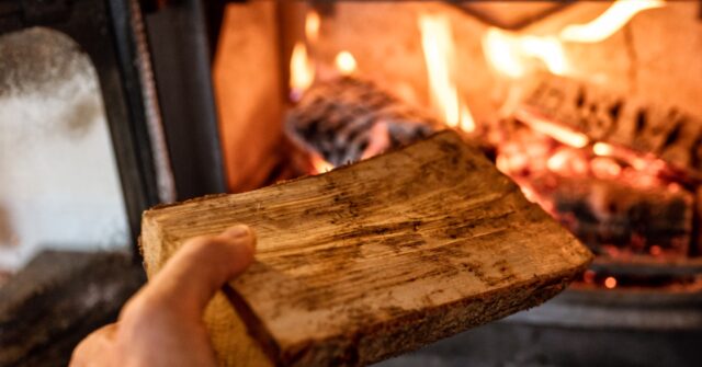 Great Reset: Britons Face £300 Fine For Burning Wood to Keep Warm