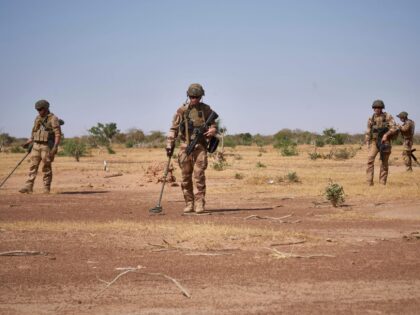 TOPSHOT - Soldiers from the French Army holds detectors while searching for the presence of IED (Improvised Explosive Devices) during the Burkhane Operation in northern Burkina Faso on November 12, 2019. - Thousands of civilians and soldiers have died in violence across the Sahel which began when armed Islamists revolted …