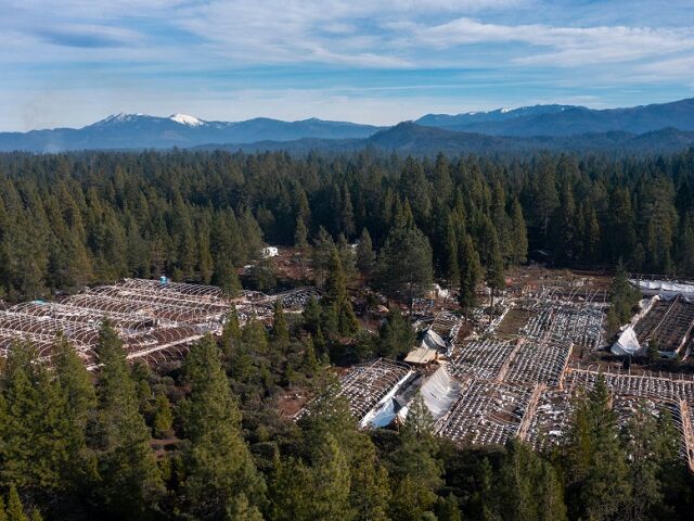 OBRIEN, OR - January 12, 2022: Aerial view of illegal marijuana grow sites adjacent to longtime resident Gary Longneckers home on Wednesday, Jan. 12, 2022 in O,Brien, OR. Longnecker, a retired San Jose, CA firefighter, says his 5-acre lot on Wood Creek is surrounded by illegal grows. (Brian van der …
