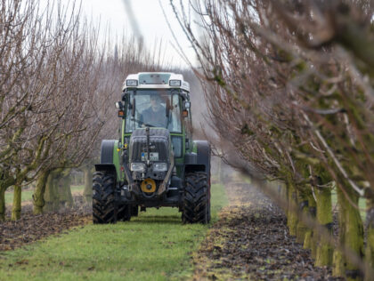 07 January 2023, Saxony-Anhalt, Sülzetal: Fruit grower Thomas Malik drives his tractor through an apricot orchard. Because of the warm temperatures, the Hornemann fruit farm has to spray its groves against fungi and other pests two months earlier than usual. Photo: Stephan Schulz/dpa/ZB (Photo by Stephan Schulz/picture alliance via Getty …