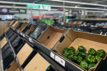 A photograph taken on February 24, 2023, shows a few peppers among empty shelves at a Sainsbury supermarket in east London. - Some UK supermarkets have introduced limits on customer purchases of some fruit and vegetables due to "sourcing challenges" blamed on weather conditions in southern Europe and north Africa, …