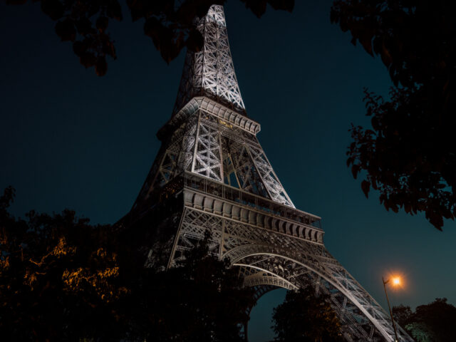 Tree Framed Eiffel Tower in Paris, France