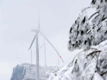 CHONGQING, CHINA - JANUARY 18: A view of ice and frost-covered trees at Wufuling Wind Farm on January 18, 2023 in Chongqing, China. (Photo by Yang Min/VCG via Getty Images)