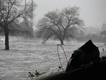 Griffith Park flood (Robyn Beck / AFP / Getty)