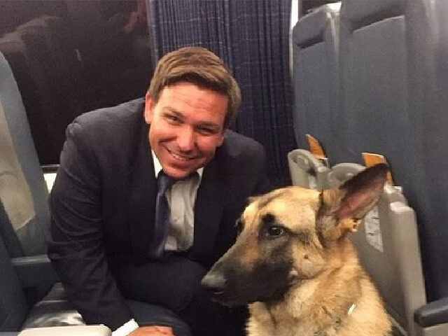 Marine Veteran’s Service Dog that Inspired the PAWS Act Takes ‘Last Flight’ Home