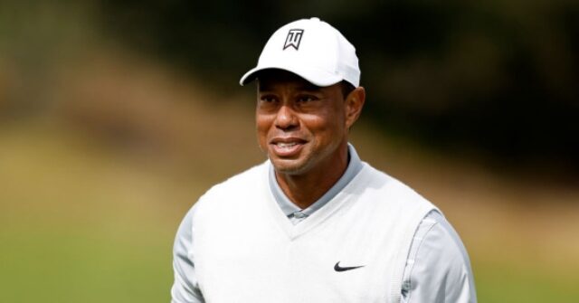 NextImg:Breitbart: Women's Group Blasts Tiger Woods for 'Misogynistic' Tampon Joke